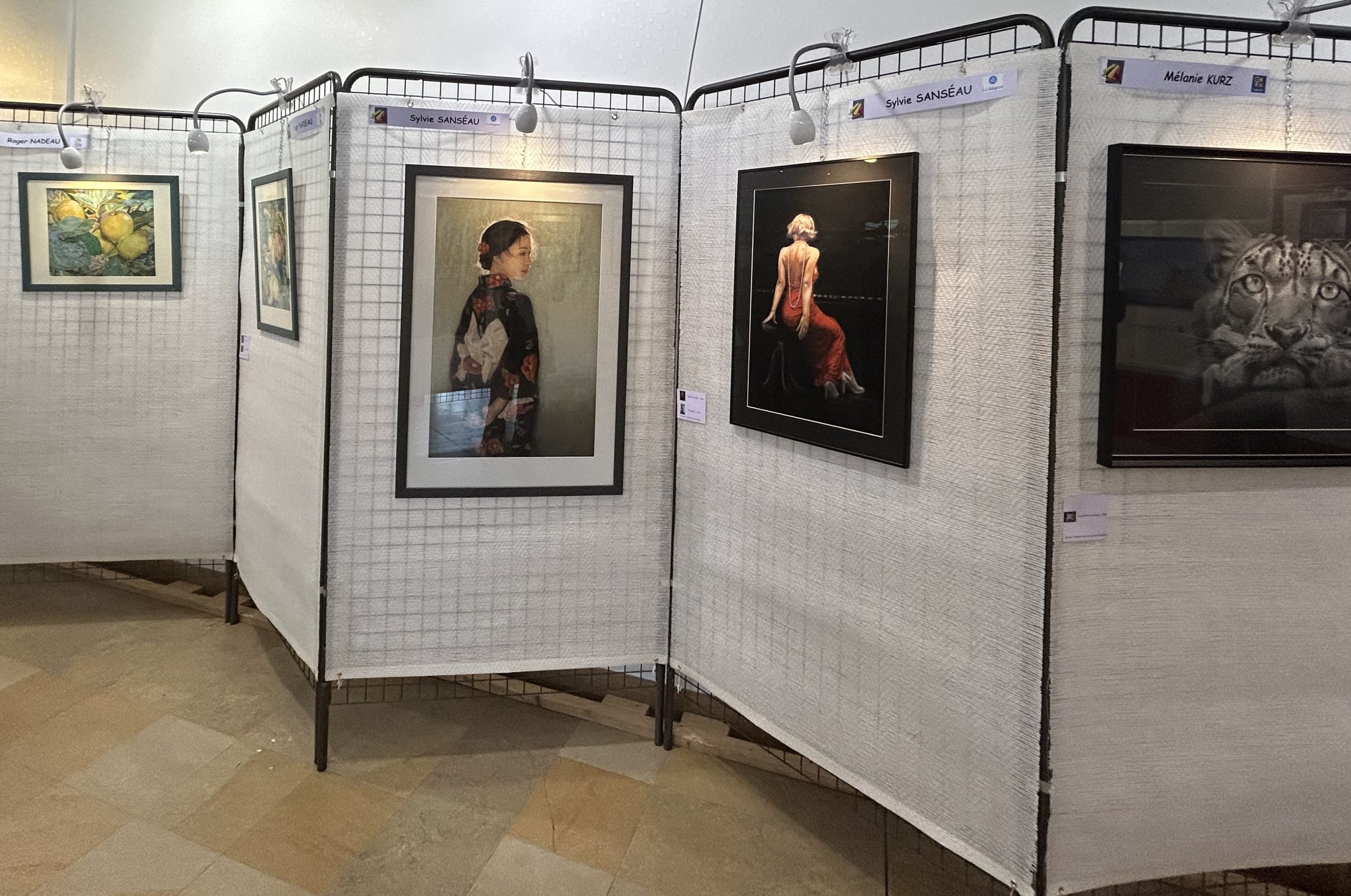 salon-pastel-bourgogne-2024